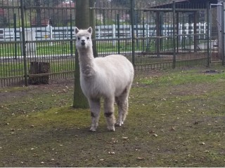 Tierpark Luckenwalde