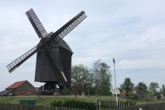Windmühle am Ortseingang von Beelitz, Foto: Tourismusverband Fläming e.V.