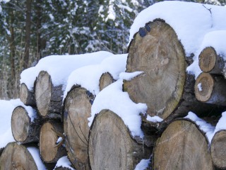 Weihnachtsmarkt im Waldfrieden in Blankensee