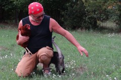 Hofleben: Der Vermieter Dieter Kotras mit tierischen Begleitern, Foto: Gabriele Sußdorf