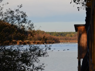 Frühlingserwachen am Riebener See - Wanderung rund um den See