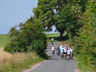 Eine wunderschöne, leichte Rundtour mit dem Fahrrad durch den Naturpark Nuthe-Nieplitz