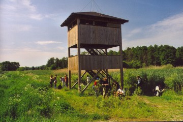 Vogelbeobachtungsturm bei Stangenhagen © Landschafts-Förderverein Nuthe-Nieplitz-Niederung e.V./Peter Koch
