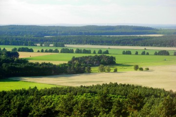 Blick vom Löwendorfer Berg, auf Wald, Wiesen und Ackerland © Landschafts-Förderverein Nuthe-Nieplitz-Niederung e.V./Peter Koch