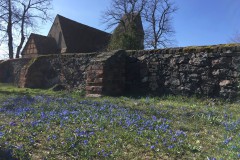 Blausternchen an der Dorfkirche Blankensee, Foto: Tourismusverband Fläming e.V.