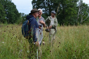 Experten bei der Arbeit - Hartmut Kretzschmer (Entomologe), Ralf Schwarz (Botaniker) und Heinrich Hartong (Fachgutachter Büro UmLand) (von l nach r)  © LFV NNN