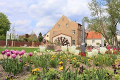 Wassermühle vom Mühlengarten aus gesehen, Foto: Museen Beelitz